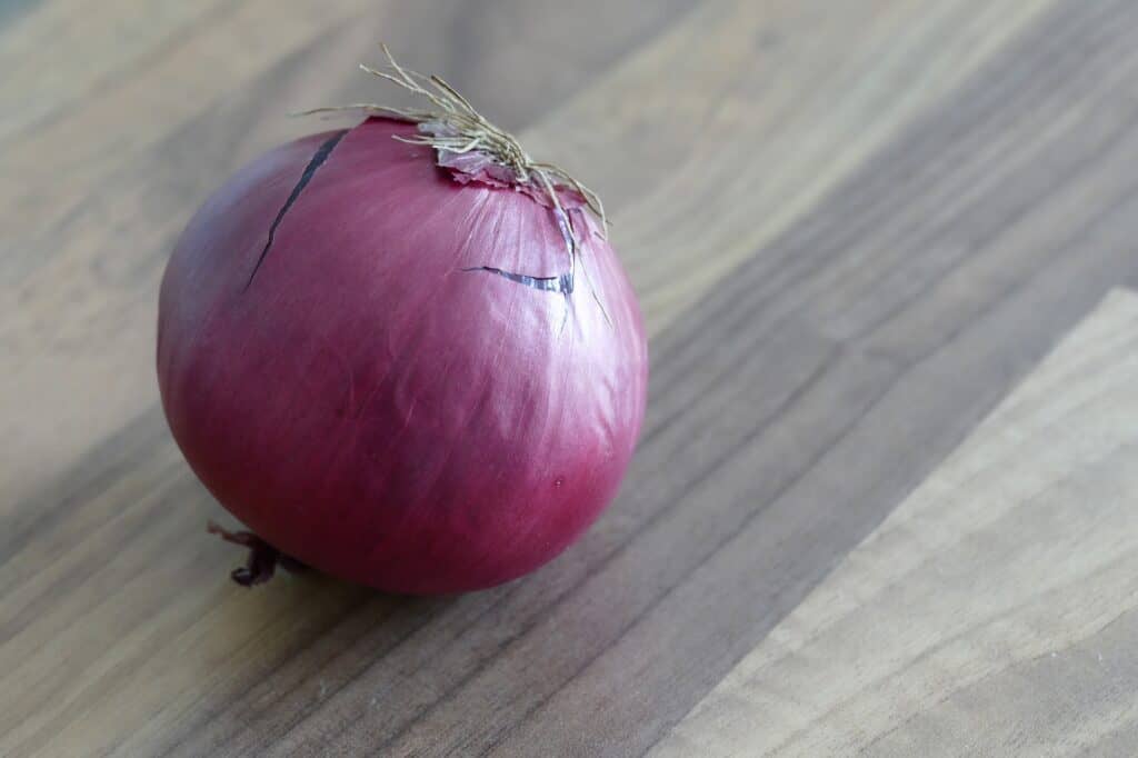 Red onion, natural antibiotic