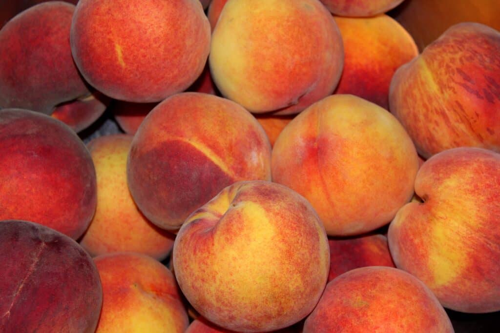 Peaches 6 recommendations for health and beauty