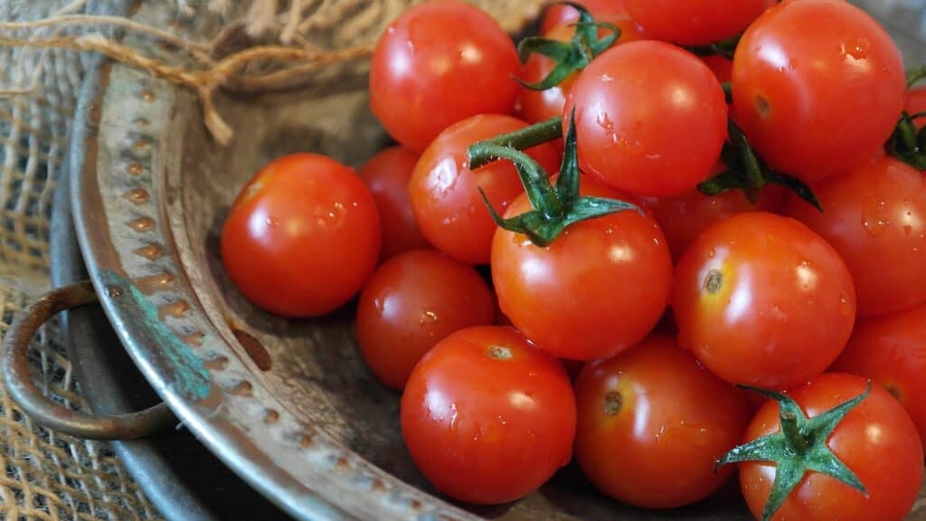 Tomatoes for health and beauty